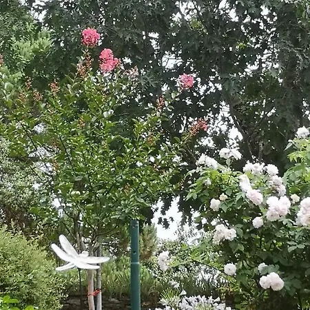 Hameau De Taur Pensionat