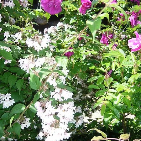 Pensionat Hameau De Taur 3*