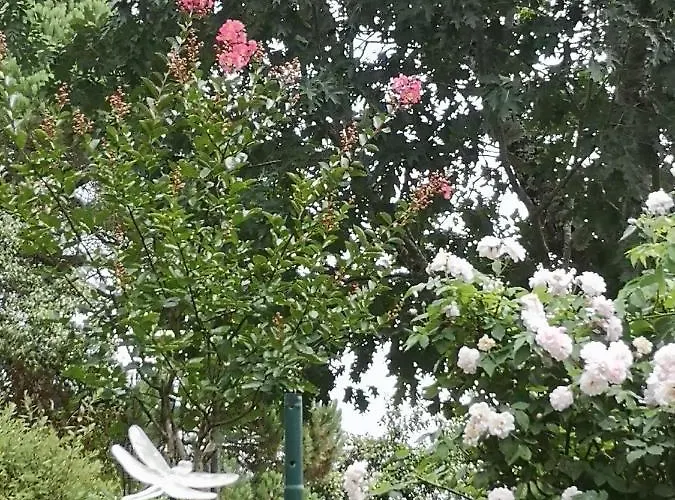 Hameau De Taur Гостевой дом