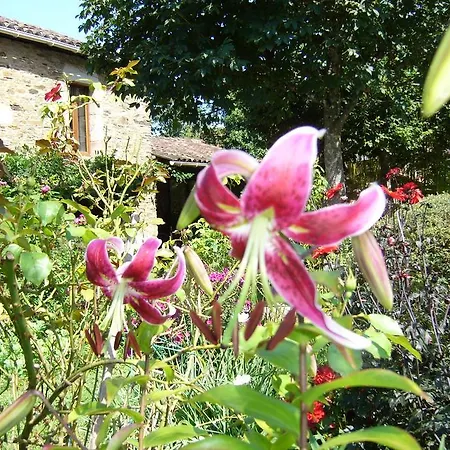 Hameau De Taur Maison d'hôtes Villefranche-dʼAlbigeois