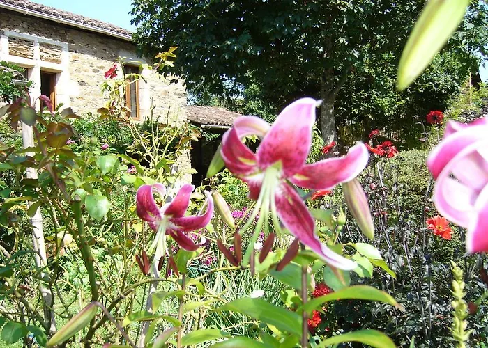 Hameau De Taur Pensión Villefranche-dʼAlbigeois