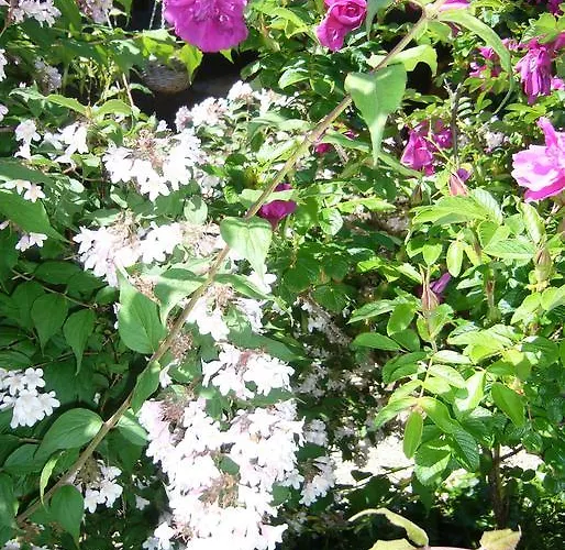 Pensión Hameau De Taur 3*